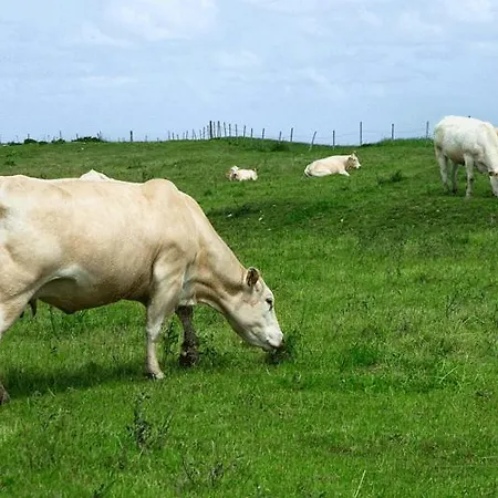 Rural Entrecomillas Comillas