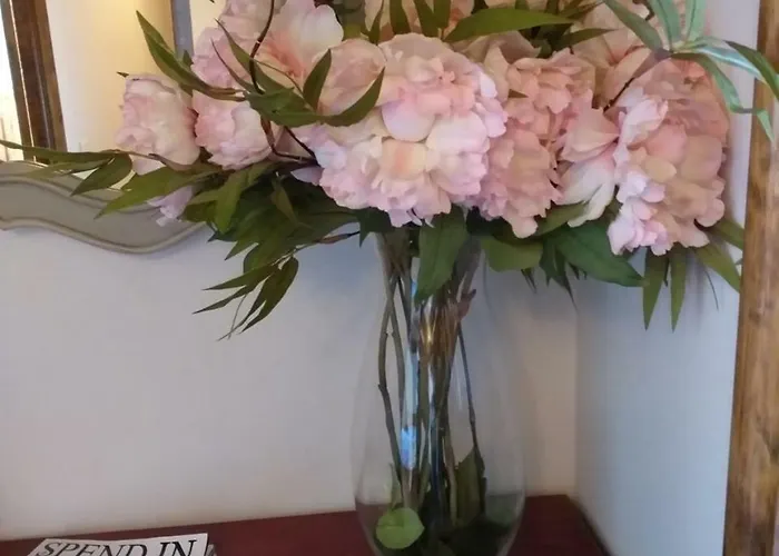 Rural Entrecomillas カントリーハウス コミージャス