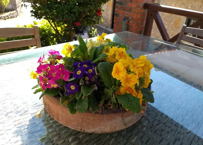 Rural Entrecomillas * コミージャス